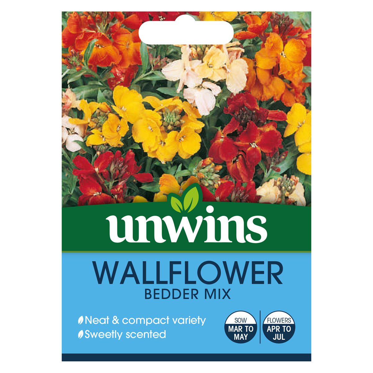 5051618012898 1 Wallflower Bedder Mixed Seeds.jpg